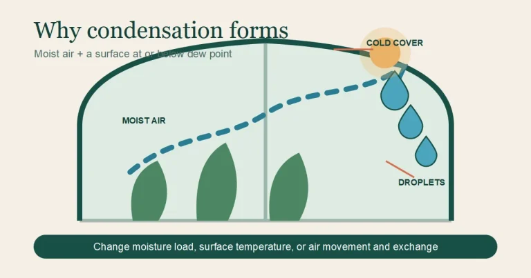 Diagram showing moist greenhouse air condensing on a cold cover at the dew point